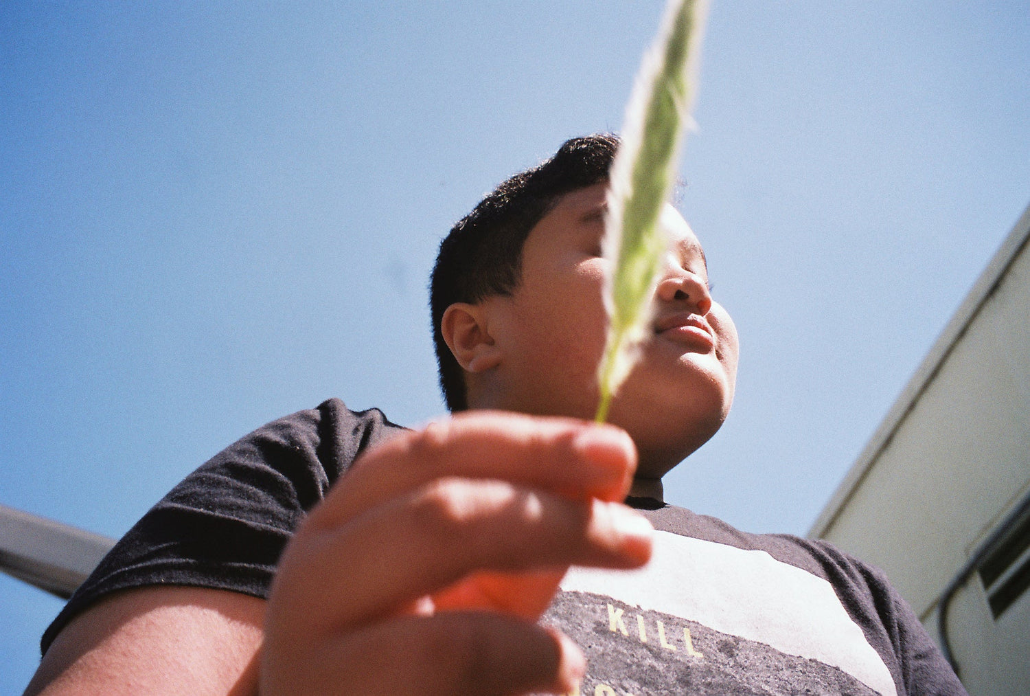 Special Edition Photographic Prints - Erina Alejo