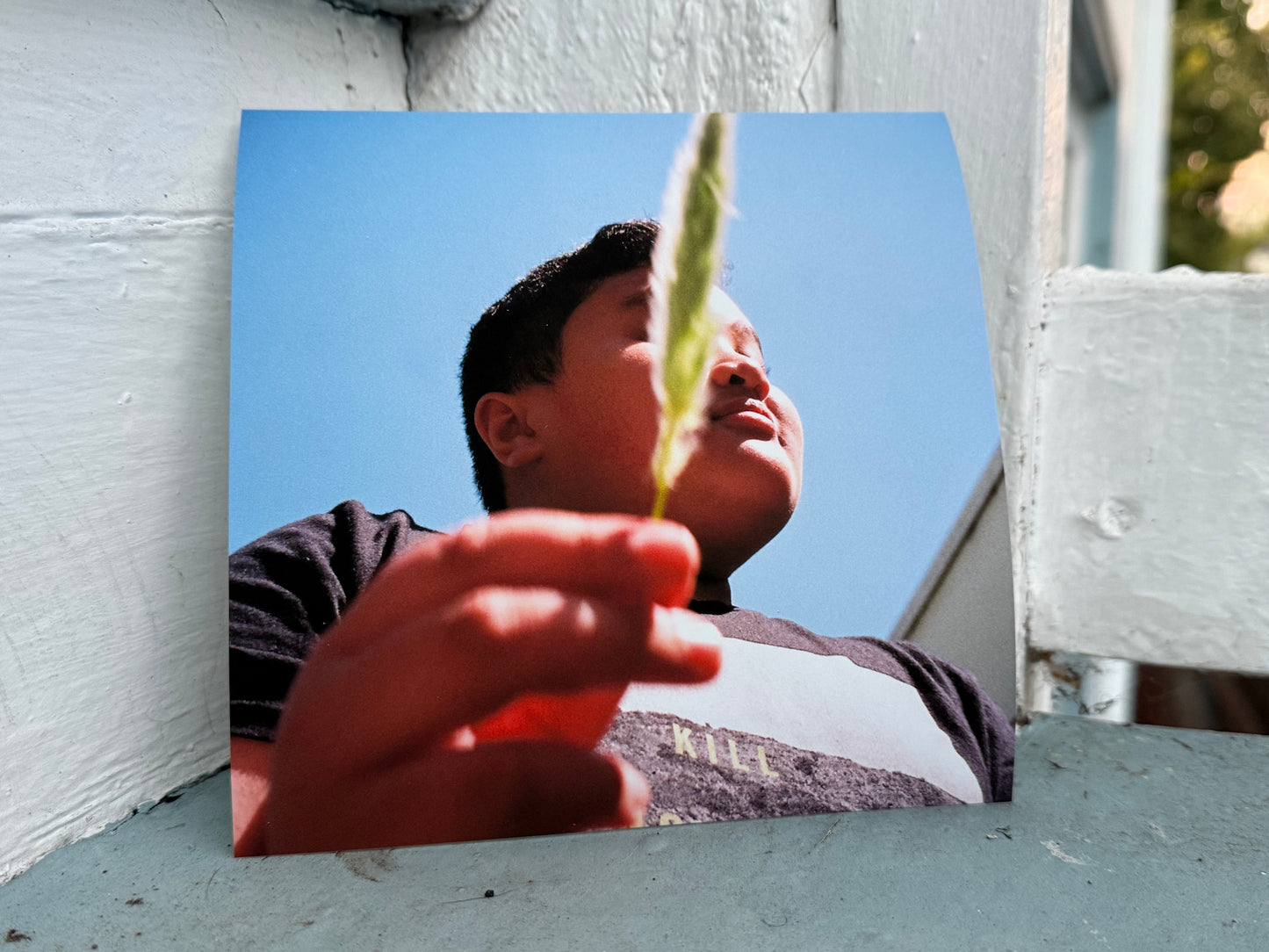 Grass Blossom, South of Market - 6x6 Print